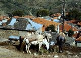 Metsovo