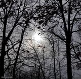 Pale sun