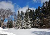 Todays walk