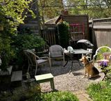 Spring garden