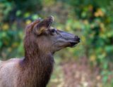 IMG_2076.jpg