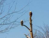IMG_2165.jpg