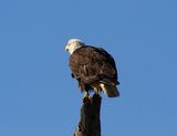 IMG_2183.jpg