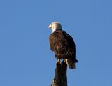 IMG_2187.jpg