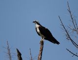 IMG_2246.jpg