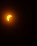 IMG_2716.jpg