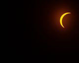 IMG_2726.jpg
