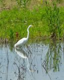 IMG_2912.jpg