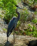 IMG_2902.jpg