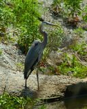 IMG_2903.jpg