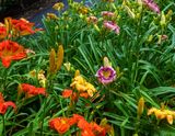 707A0938.jpg