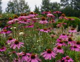 707A0943.jpg