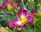 707A0953.jpg