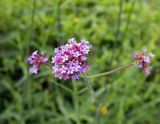 707A0955.jpg