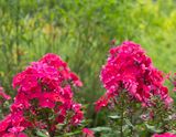 707A0965.jpg