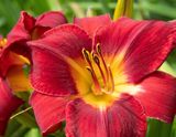707A0973.jpg