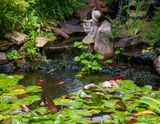 IMG_7976.jpg