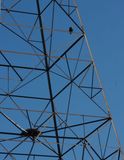 IMG_7995.jpg