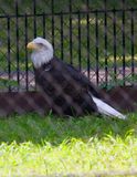 IMG_8049.jpg