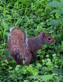 IMG_8050.jpg