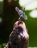 IMG_8053.jpg