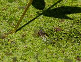 IMG_8058.jpg
