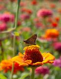 IMG_8288.jpg