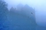 When The Fog Sets In 