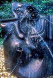 Fountain 
