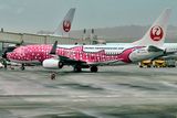 Japan Transoceanic Air, JTA, B-737/800, JA06RK, Pink Whalwshark
