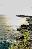Palmeira Dive Site, View to the Other Side