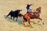 Portuguese Bullfight