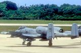 USAF, A-10, On Visit