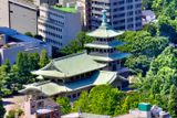 Temple and Garden, From Above