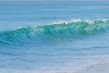 DSCF5831.jpg