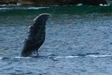 DSCF6071.jpg