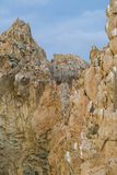 DSCF6086.jpg