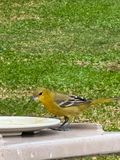 IMG_4760-2.jpg