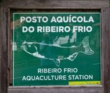 Busrit Oosten-14.jpg