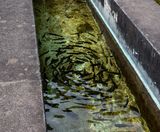 Busrit Oosten-15.jpg