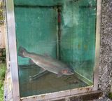 Busrit Oosten-16.jpg