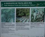 Busrit Oosten-17.jpg