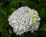 Busrit Oosten-25.jpg