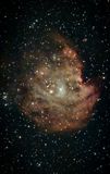 M101 PIX LR PS.jpg