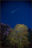 Autumn Starlight Meteor 