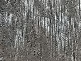 IMG_20190112_121256989.jpg