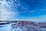 endless tundra.jpg