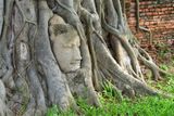 Thailand, Ayutthaya, Wat Nok