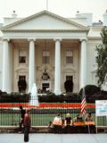 The White House 