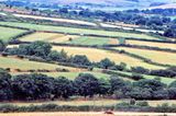 Cornwall